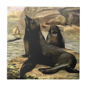 California Sea Lions by CE Swan, Vintage Animals Ceramic Tile