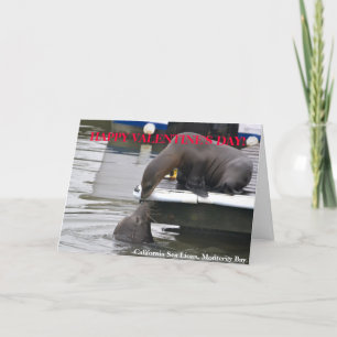 California Sea Lions Valentine's Day Card
