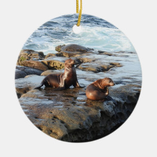 California sea lions, wildlife, ceramic ornament