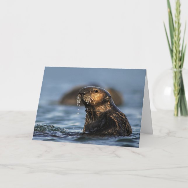 California Sea Otter Card (Front)