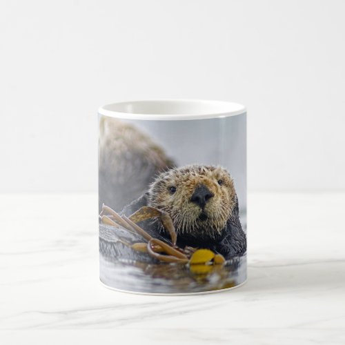 California Sea Otter Coffee Mug