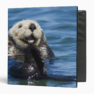 California Sea Otter Enhydra lutris) grooms 3 Ring Binder