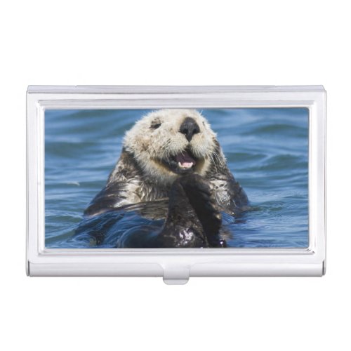 California Sea Otter Enhydra lutris grooms Business Card Holder