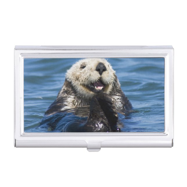 California Sea Otter Enhydra lutris) grooms Business Card Holder (Front)