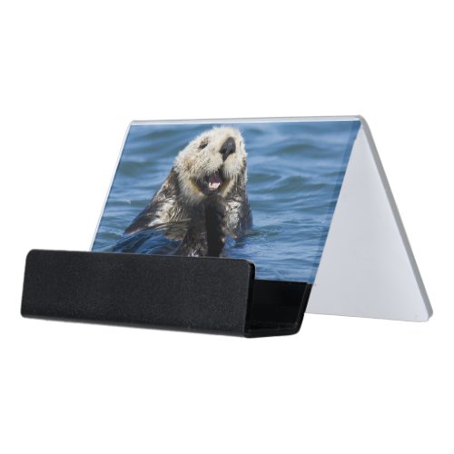 California Sea Otter Enhydra lutris grooms Desk Business Card Holder