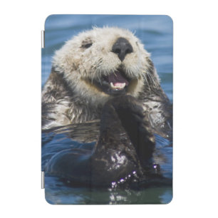 California Sea Otter Enhydra lutris) grooms iPad Mini Cover
