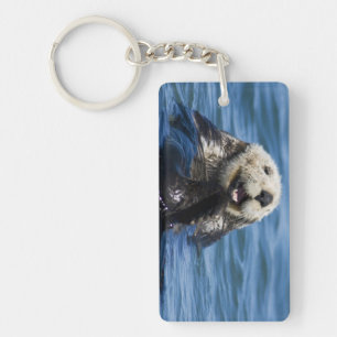 California Sea Otter Enhydra lutris) grooms Keychain