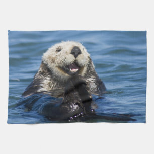 California Sea Otter Enhydra lutris) grooms Kitchen Towel