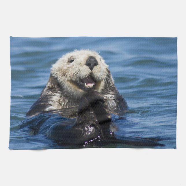 California Sea Otter Enhydra lutris) grooms Kitchen Towel (Horizontal)