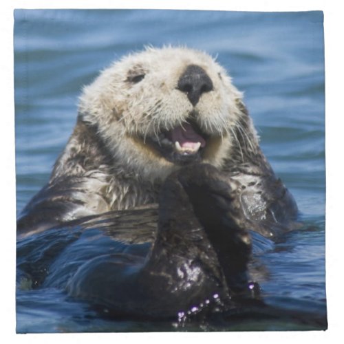 California Sea Otter Enhydra lutris grooms Napkin