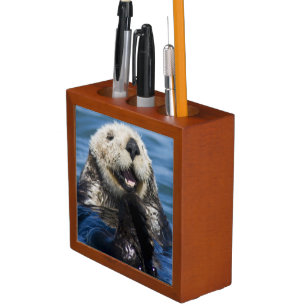 California Sea Otter Enhydra lutris) grooms Pencil/Pen Holder
