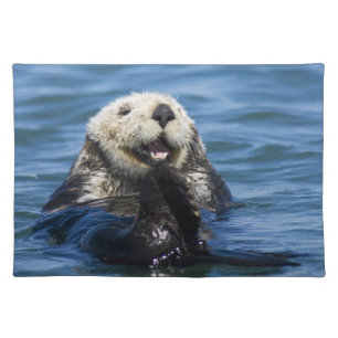 California Sea Otter Enhydra lutris) grooms Placemat