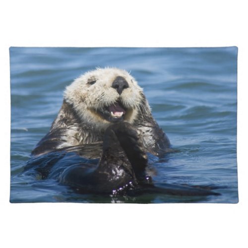 California Sea Otter Enhydra lutris grooms Placemat