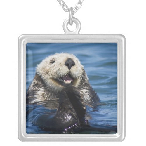 California Sea Otter Enhydra lutris grooms Silver Plated Necklace