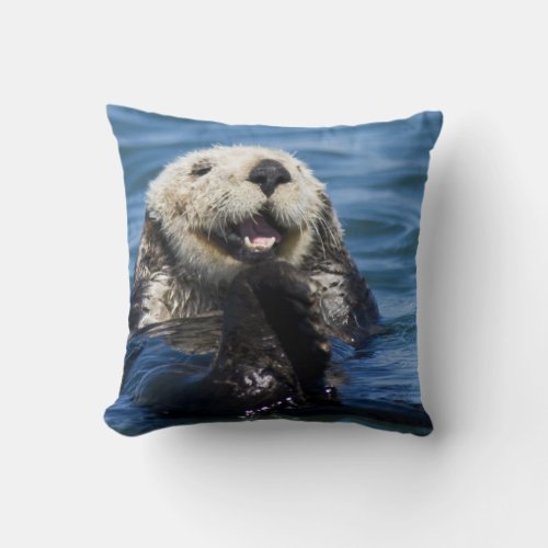 California Sea Otter Enhydra lutris grooms Throw Pillow