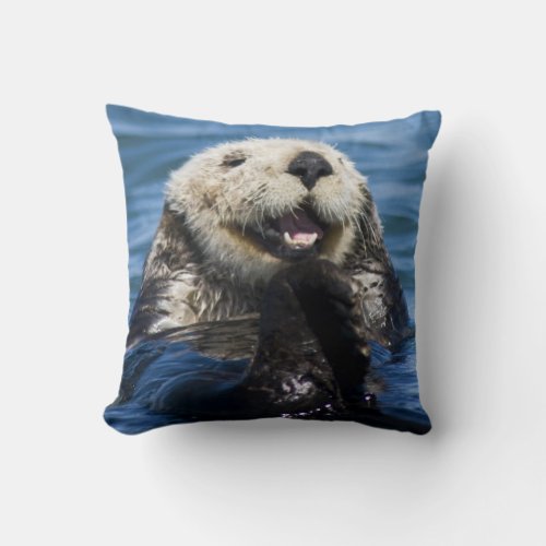 California Sea Otter Enhydra lutris grooms Throw Pillow