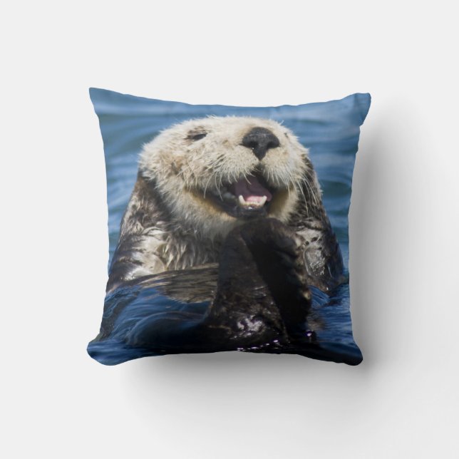 California Sea Otter Enhydra lutris) grooms Throw Pillow (Front)