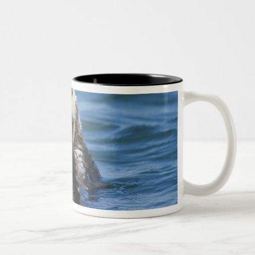 California Sea Otter Enhydra lutris grooms Two_Tone Coffee Mug
