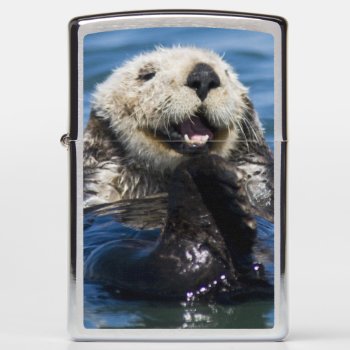 California Sea Otter Enhydra Lutris) Grooms Zippo Lighter by theworldofanimals at Zazzle