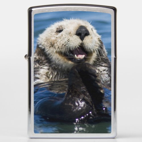 California Sea Otter Enhydra lutris grooms Zippo Lighter