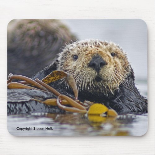 California Sea Otter Mousepad