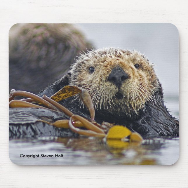 California Sea Otter Mousepad (Front)
