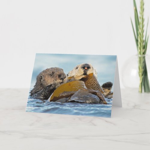 California Sea Otters at Morro Bay Card
