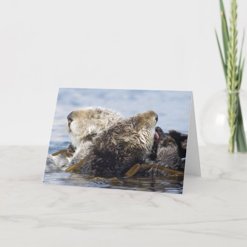 California Sea Otters Card