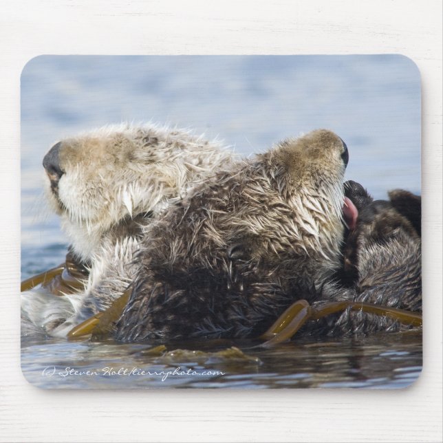 California Sea Otters Mouse Pad (Front)