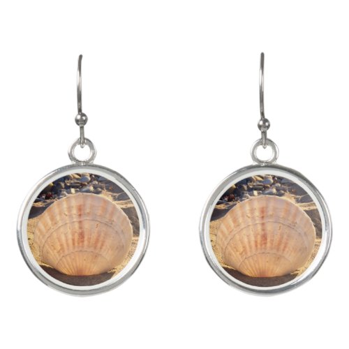 California seashell in beach sand close_up photo earrings