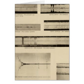 California Seismograms 2 (Front)