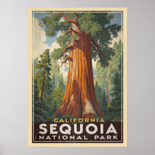 California Sequoia National Park V01 Poster