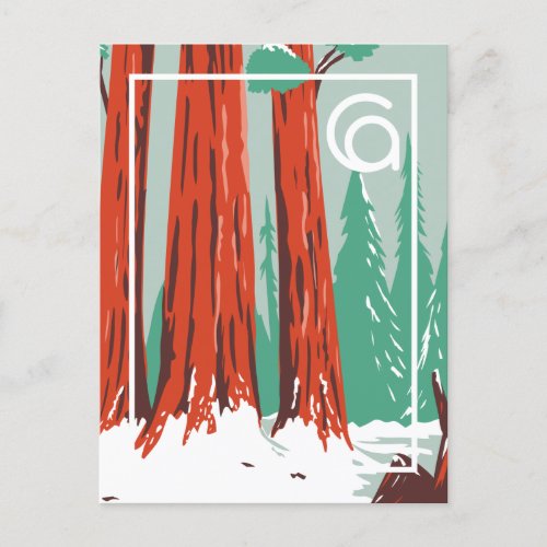 California  Sequoia National Park Winter Postcard
