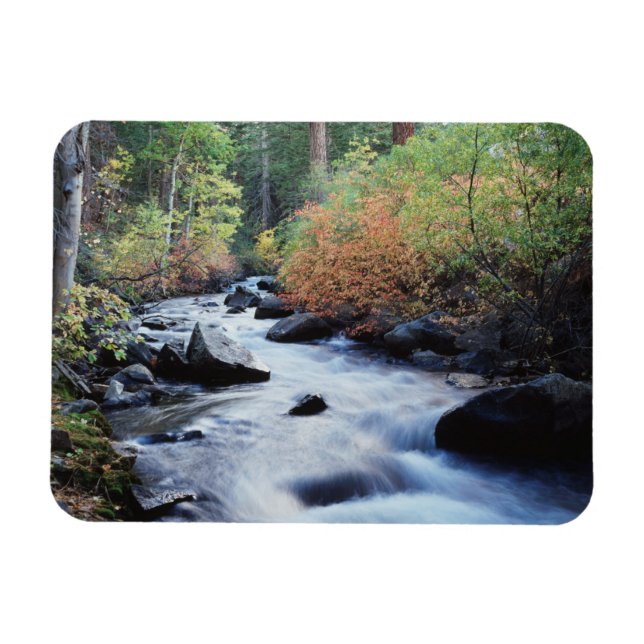 California, Sierra Nevada Mountains 11 Magnet (Horizontal)