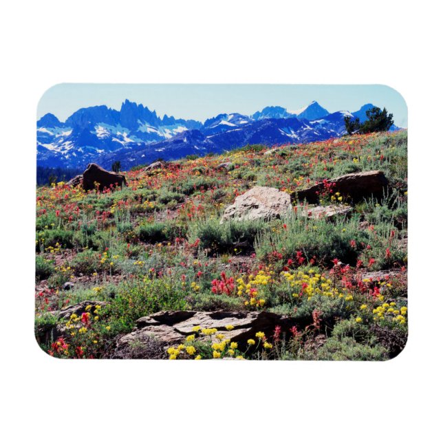 California, Sierra Nevada Mountains 1 Magnet (Horizontal)