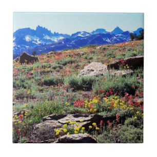 California, Sierra Nevada Mountains 1 Tile
