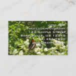 California Sister Butterfly in Yosemite Business Card