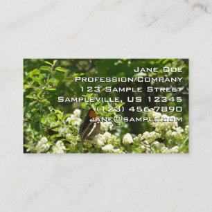 California Sister Butterfly in Yosemite Business Card