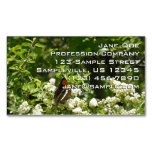 California Sister Butterfly in Yosemite Business Card Magnet