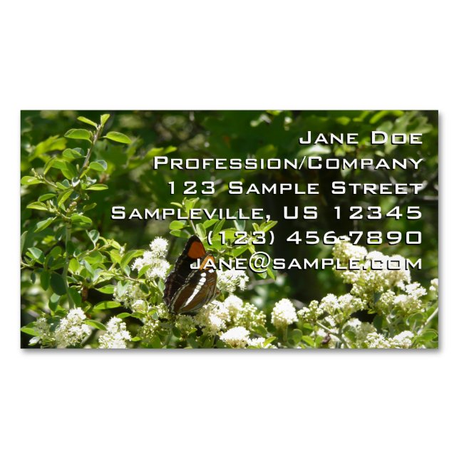 California Sister Butterfly in Yosemite Business Card Magnet (Front)