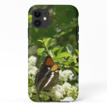 California Sister Butterfly in Yosemite iPhone 11 Case
