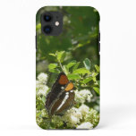 California Sister Butterfly in Yosemite iPhone 11 Case
