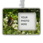 California Sister Butterfly in Yosemite Christmas Ornament