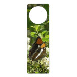 California Sister Butterfly in Yosemite Door Hanger