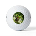 California Sister Butterfly in Yosemite Golf Balls