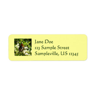 California Sister Butterfly in Yosemite Label