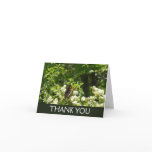 California Sister Butterfly in Yosemite Letterpress Thank You Card