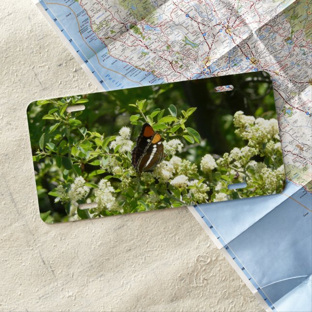 California Sister Butterfly in Yosemite License Plate (In Situ)