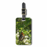 California Sister Butterfly in Yosemite Luggage Tag