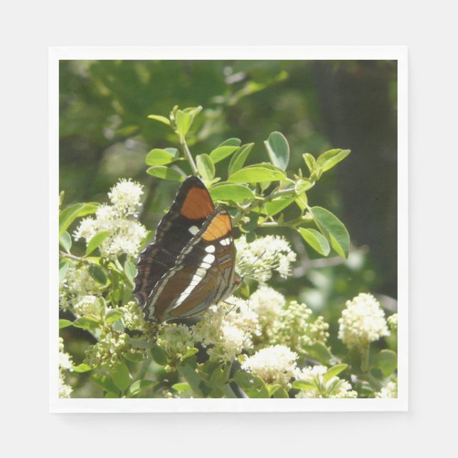 California Sister Butterfly in Yosemite Napkins (Front)